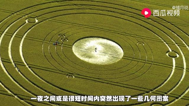 麦田怪圈是什么？白鸦行动后新的麦田圈出现！超自然现象接踵而至