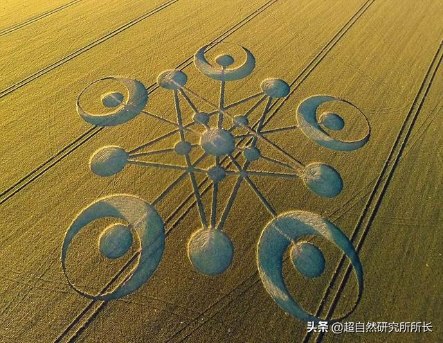麦田怪圈竟然是假的？究竟是人为还是某种未知的杰作？