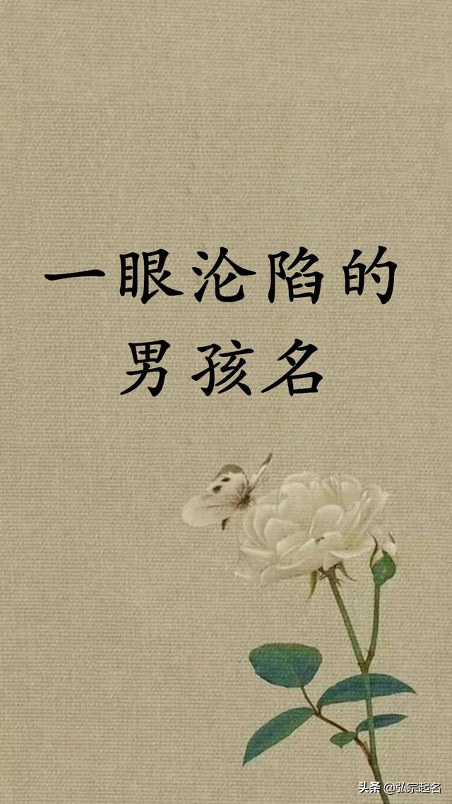 宝宝起名：一眼沦陷的男孩名