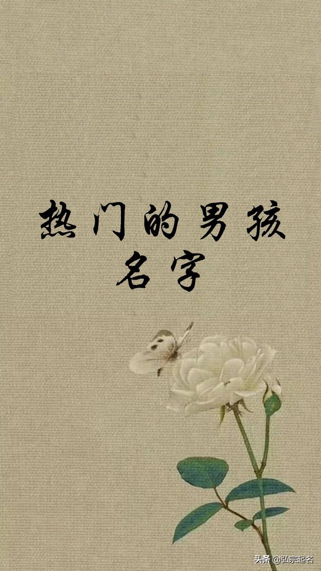 宝宝起名：热门男宝宝名字