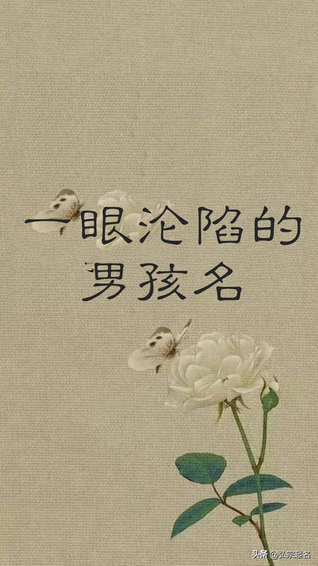 宝宝起名：一眼沦陷的男孩名字