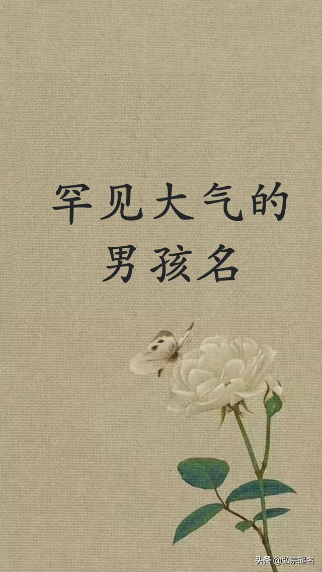 宝宝起名：罕见大气的男孩名