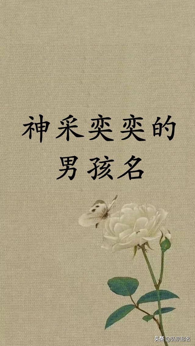 神采奕奕的男孩名字