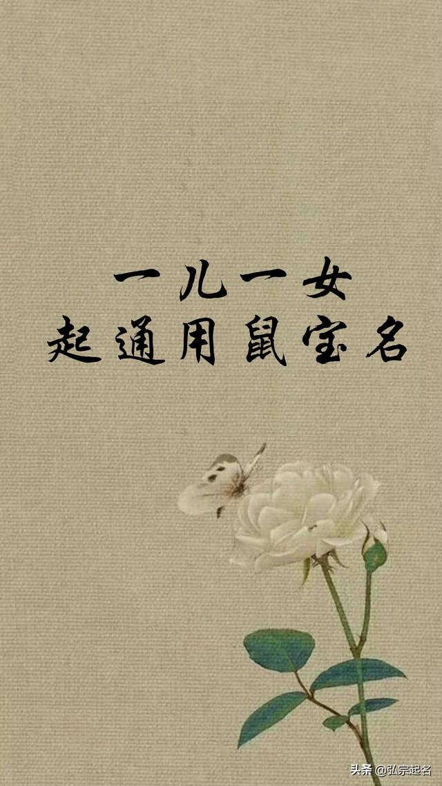 一儿一女起通用鼠宝宝名字