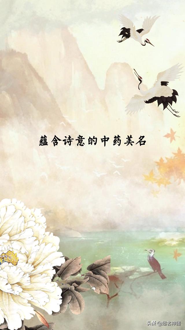 没想到吧！用中药起名都这么美！诗意的中药美名，要起名的快注意