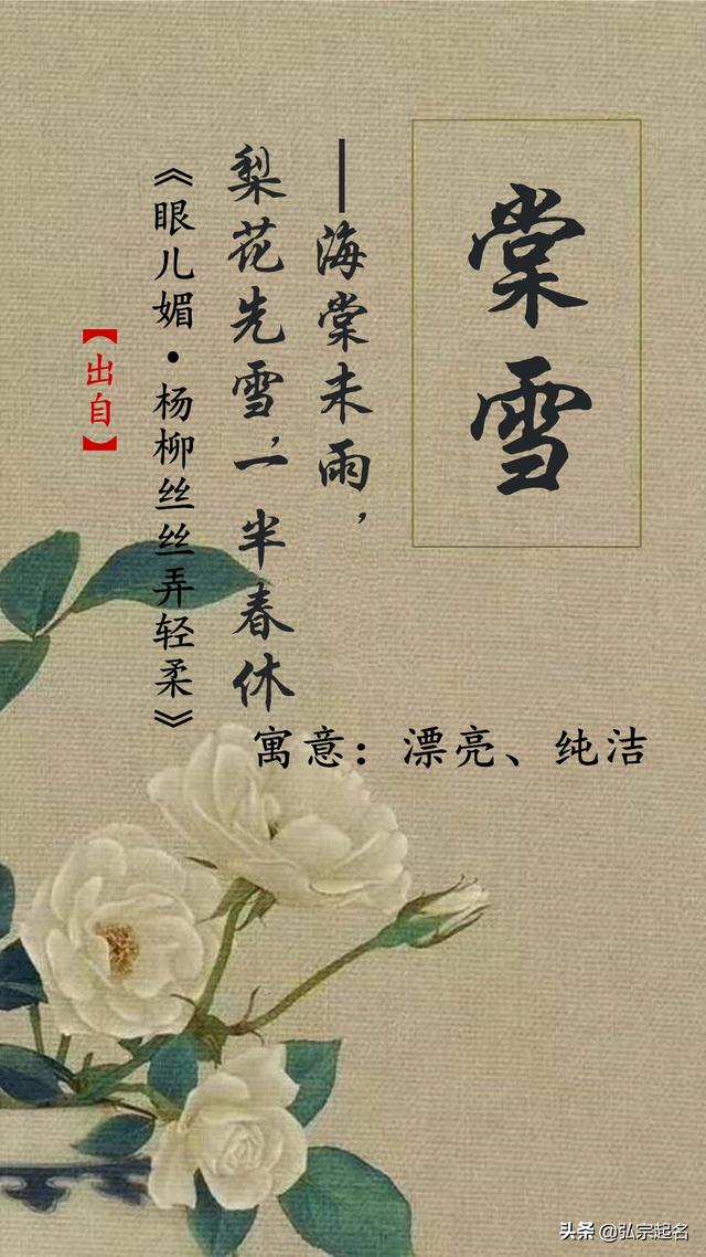 小众却很惊艳的诗词起名，美轮美奂，一眼万年