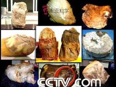「辟谣」“太岁”到底是什么？最新科学研究揭开其超自然的面纱