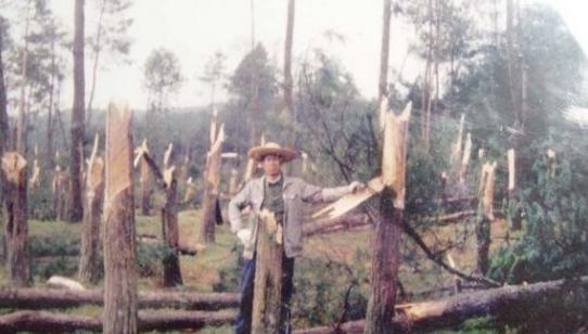 94年神秘离奇现象，大片树木一夜间全折断，留下痕迹能使时间停滞